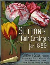 image of suttons bulb catalogue 1889