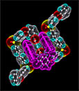 molecular tweezer