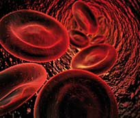 blood cells