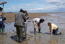 Neil Oliver and Martin Bell (Head of Archaeology at the University of Reading) discuss a footprint trail in the Severn Estuary (photo. J. Foster).