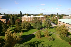 Whiteknights Campus