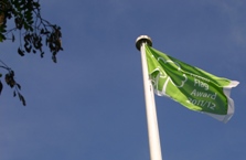 Green Flag flies from University flagpole