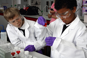 pupils take part in the Salter's Festival of Chemistry at the University of Reading