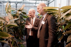 Professor Paul Hadley shows Universities and Science Minister David Willetts cocoa crops