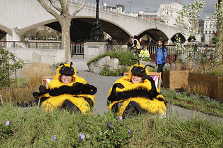 Friends of the Earth created a pop-up nature haven on the South Bank