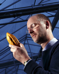 Professor Paul Hadley with a cocoa pod in the University of Reading's state-of-the-art greenhouses