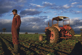 picture from Field work: photographs from East Anglia copyright Justin Partyka