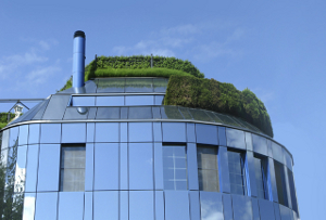 SustBe green roof