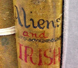 Records show the classification for Reading inmates as 'aliens and Irish'