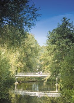 Friends' Bridge over Whiteknights lake