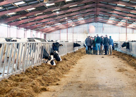 Students on an agriculture farm visit