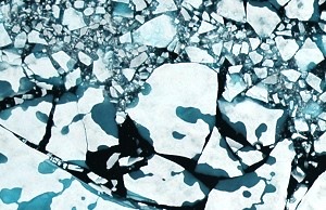 Melt ponds form on the surface of Arctic sea ice