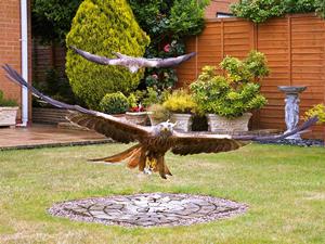 Red kites feeding - picture by Stuart Gay