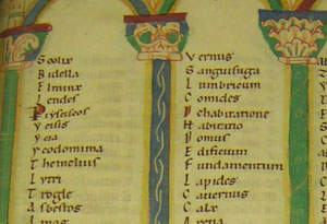 an ancient dictionary preserved in a twelfth-century manuscript from Austria