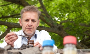 Professor Chris Collins collecting soil samples