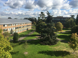 Headlines made at the University of Reading