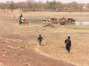 African populations are particularly vulnerable to extreme weather events