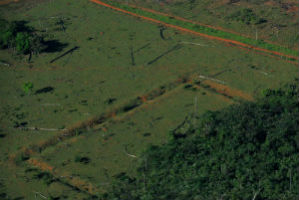 Geoglyphs at the Cachimbo site in the Amazon. Photo credit: Diego Gurgel