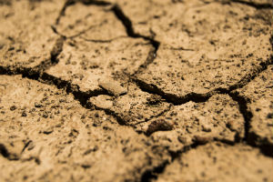 The River Derwent in Cumbria is dry after a lack of rainfall