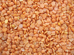 The University of Reading has had a hand in lentil production research