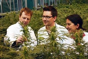 Researchers from the University of Reading who have worked on cannabidoids