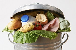 Food in a bin