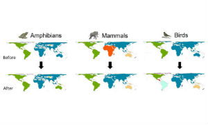 Map showing how bioregions have been affected by human action