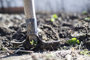 A spade digging soil