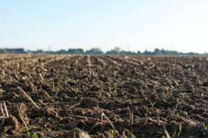 The Parliamentary event looked at the importance of soil to environmental efforts