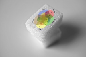 Venn diagram superimposed onto sugar cube
