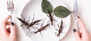 A dinner plate with insects on