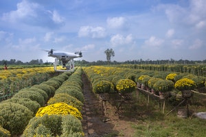Drone on a farm