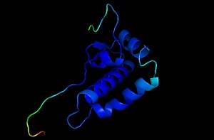 Model of a protein inside the SARS-CoV-2 coronavirus
