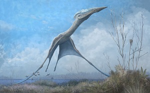 Hatzegopteryx thambema takes off