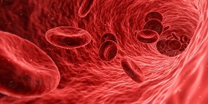 Healthy veins with blood cells flowing through