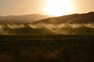 The area of land that will be irrigated in future has been 'underestimated'