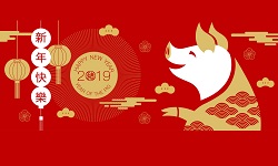 Chinese new year greeting with picture of pig gold on red background