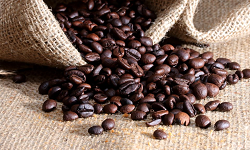colour photograph of coffee beans spilling from a hessian sack