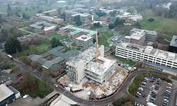 colour photograph of health and life sciences building site