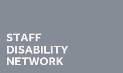 Staff Diability Network logo, white lettering to grey background