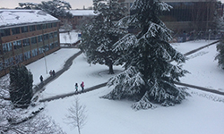 University campus with snow