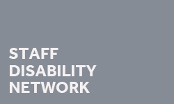 Staff disability network logo white lettering to grey background